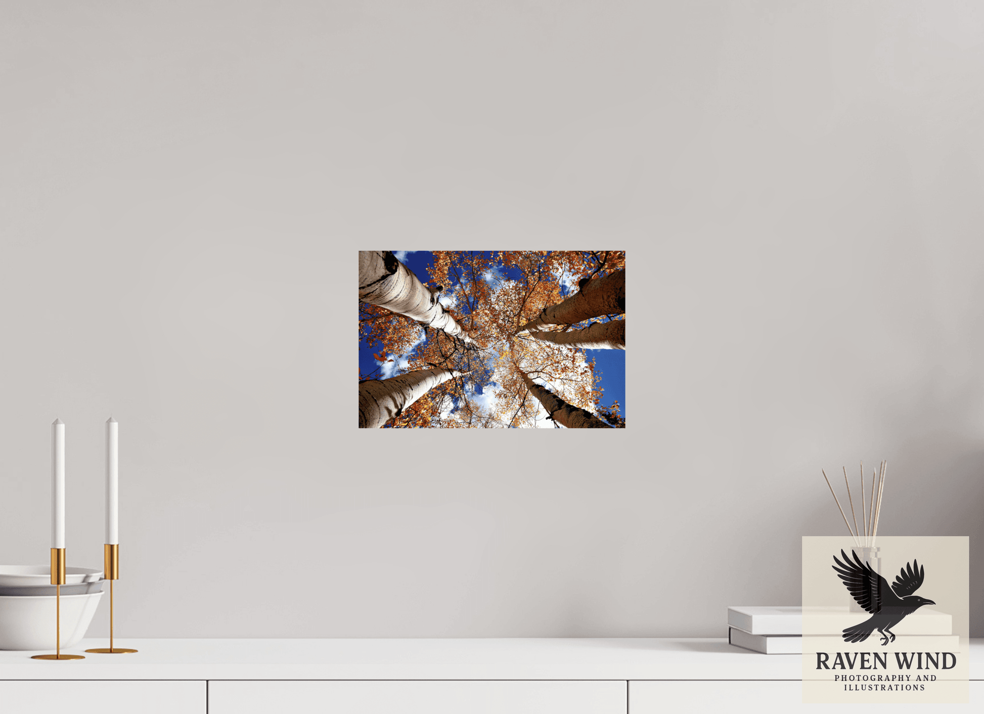 12 x 8″, ChromaLuxe HD Metal Print - ready to hang Reaching for the Sky - Aspens in the Fall Nature Photography Print