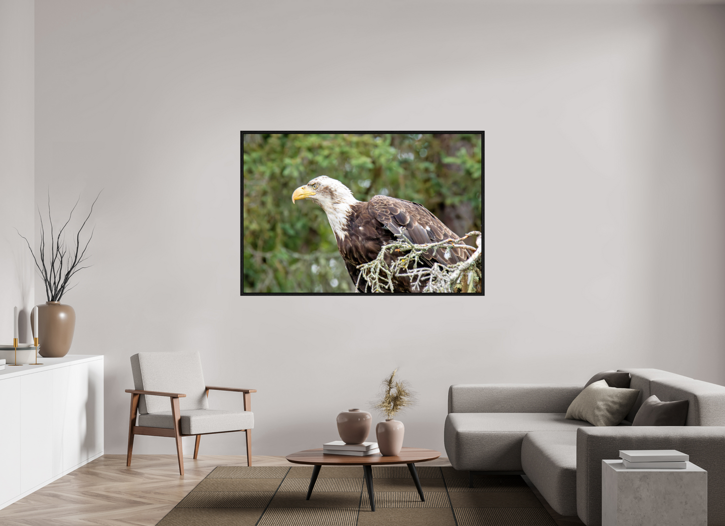 Majestic Watch – Bald Eagle on the Kenai Peninsula Nature Photography Print