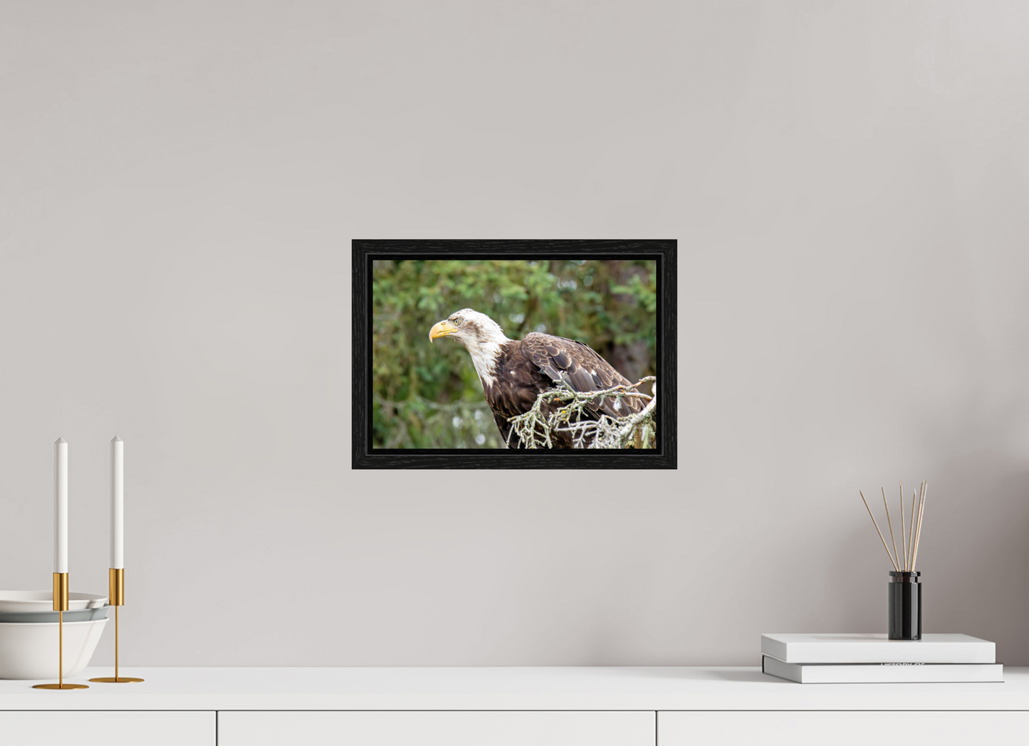 Majestic Watch – Bald Eagle on the Kenai Peninsula Nature Photography Print