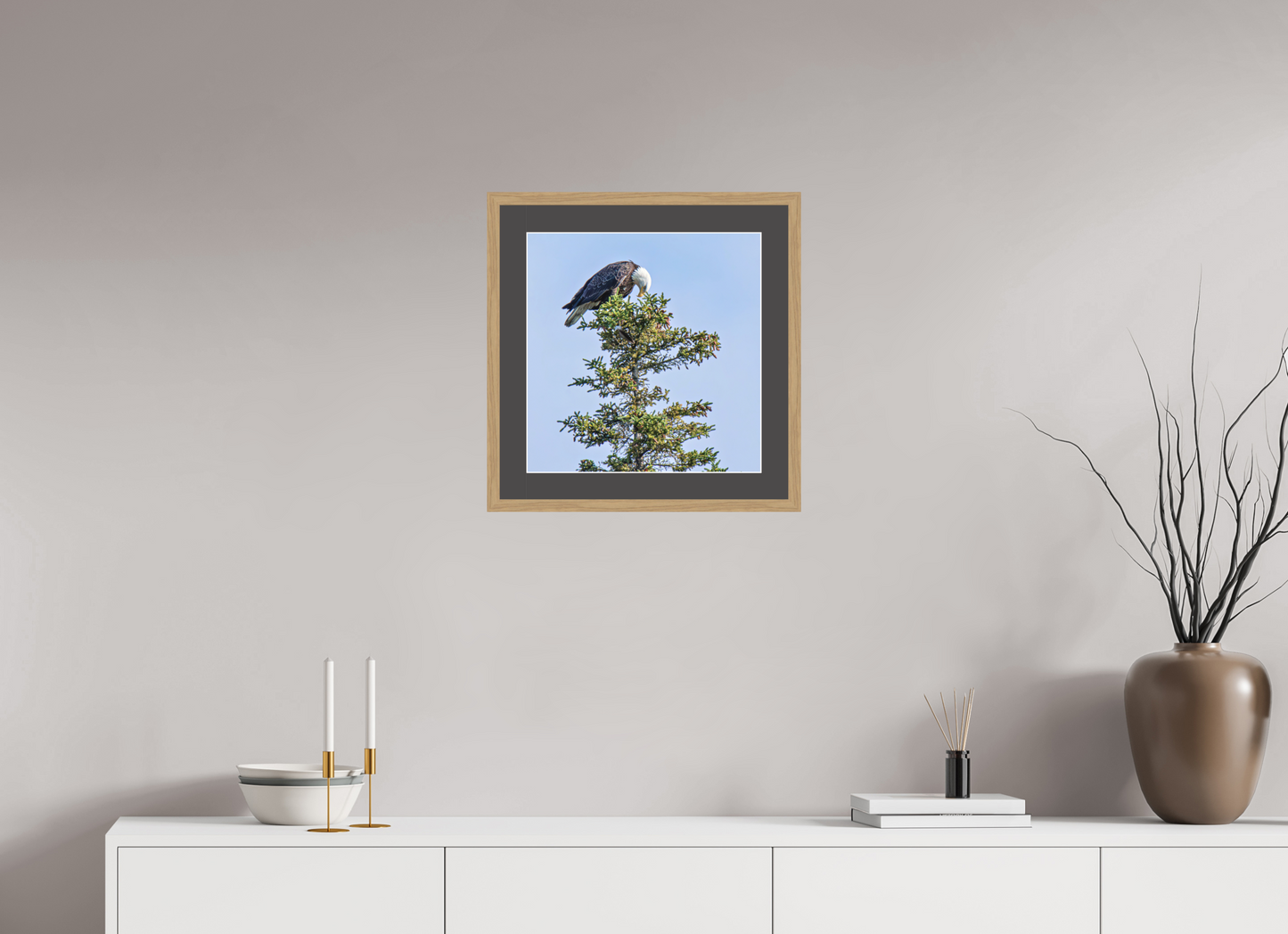 Silent Sentinel – Bald Eagle in Alaska’s Pines Nature Photography Print