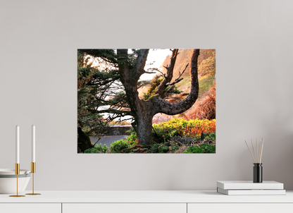 Sunset Glow Fine Art Nature Photography Print