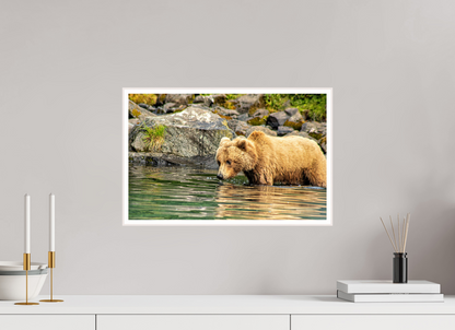 Wild Focus Nature Photography Print