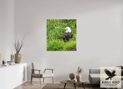 39 x 41.7″, Print on Canvas - ready to hang or set on a shelf Grounded Majesty - Alaskan Bald Eagle Nature Photography Print