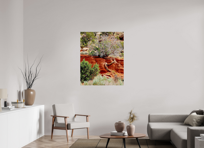 Resilient Roots – Twisted Tree in Red Rock Desert Fine Art Print