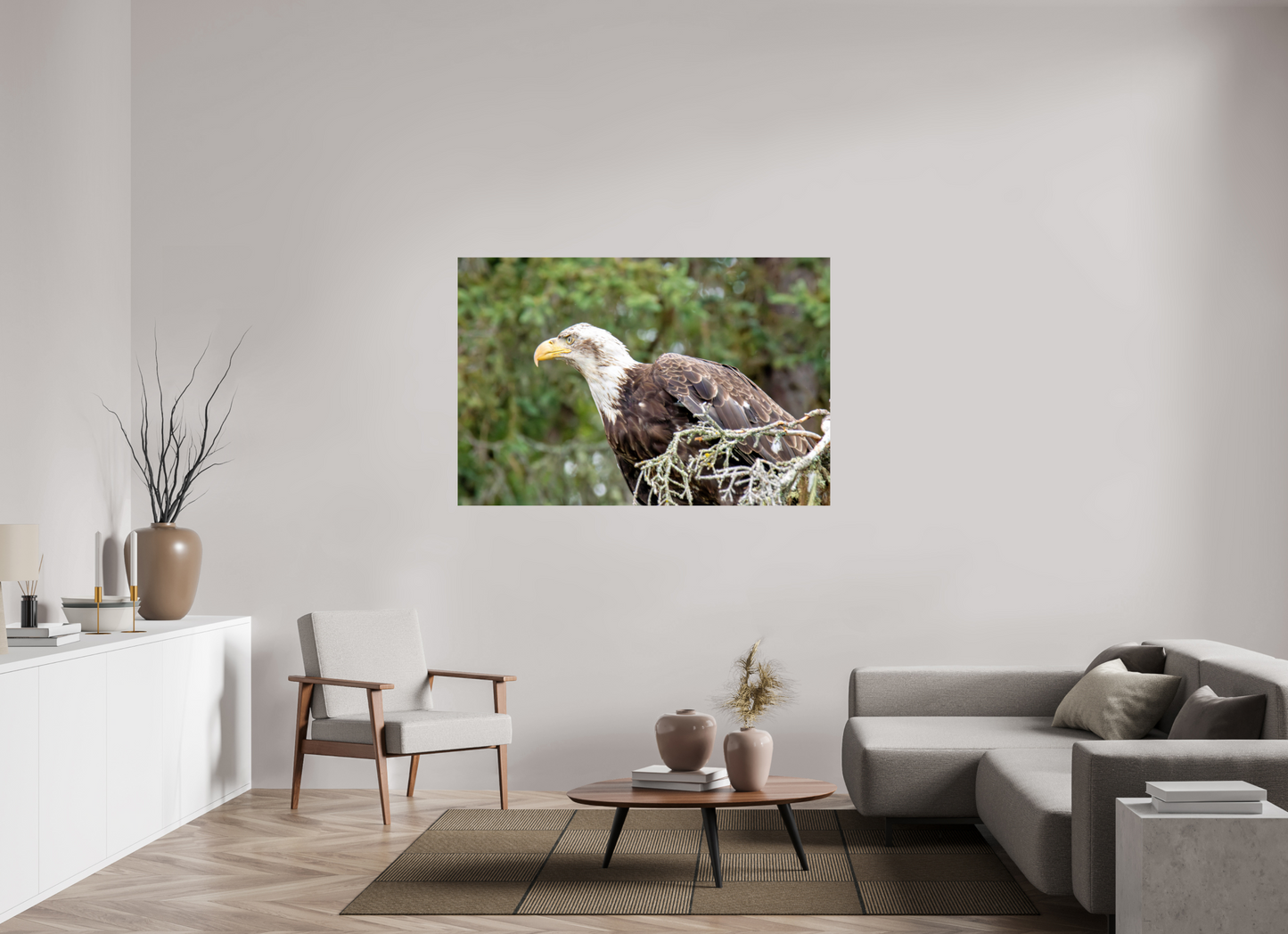 Majestic Watch – Bald Eagle on the Kenai Peninsula Nature Photography Print
