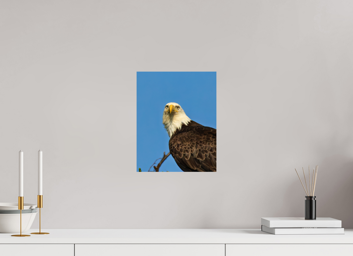 Eyes of the Wild – Bald Eagle in Alaska’s Wilderness Nature Photography Print