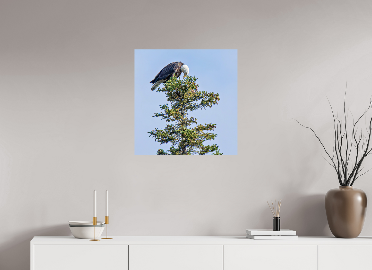Silent Sentinel – Bald Eagle in Alaska’s Pines Nature Photography Print