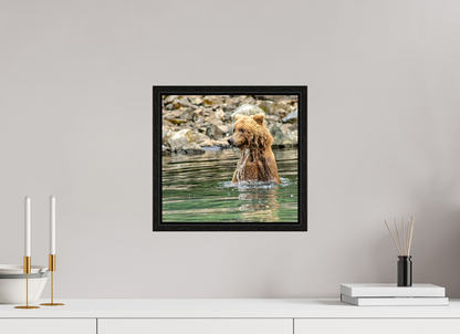 Missed the Catch - but not the moment! Nature Photography Print