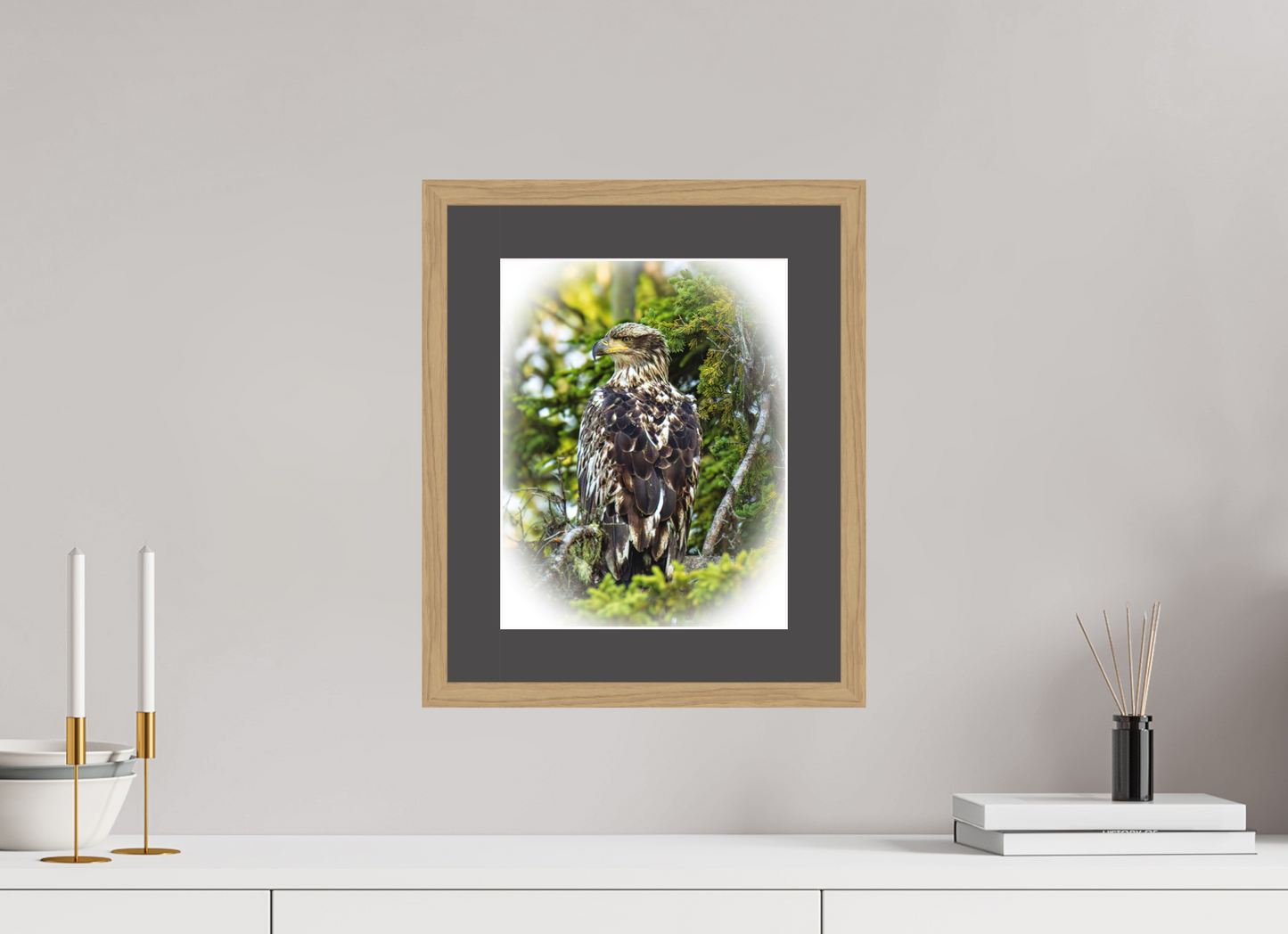 Forest Watch – Young Eagle Among the Pines Nature Photography Print