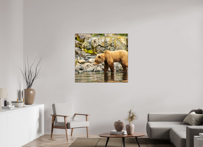 Looking for Dinner Nature Photography Print