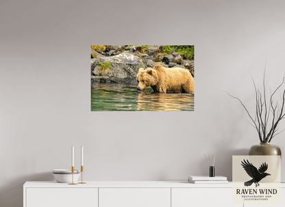 31.5 x 20″, Photo Print Under Acrylic Glass - ready to hang Wild Focus Nature Photography Print