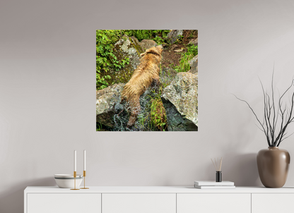 The Shake Nature Photography Print