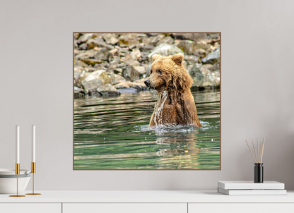 Missed the Catch - but not the moment! Nature Photography Print
