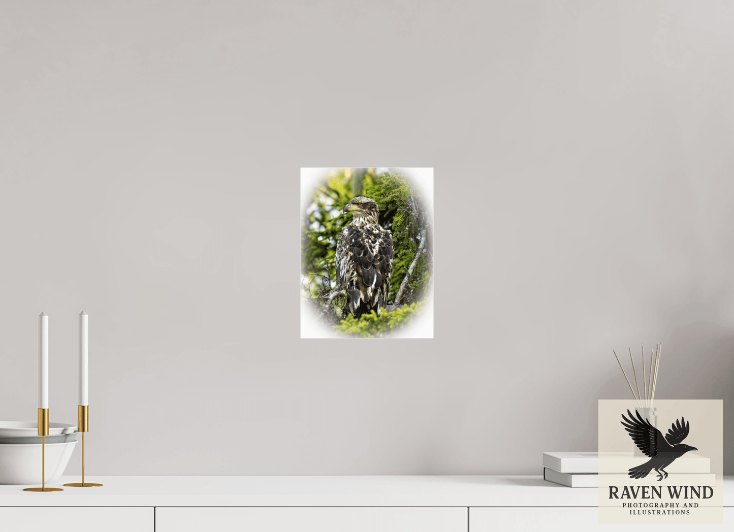 8 x 10.3″, Photo Print Under Acrylic Glass - ready to hang Forest Watch - Young Eagle Among the Pines Nature Photography Print