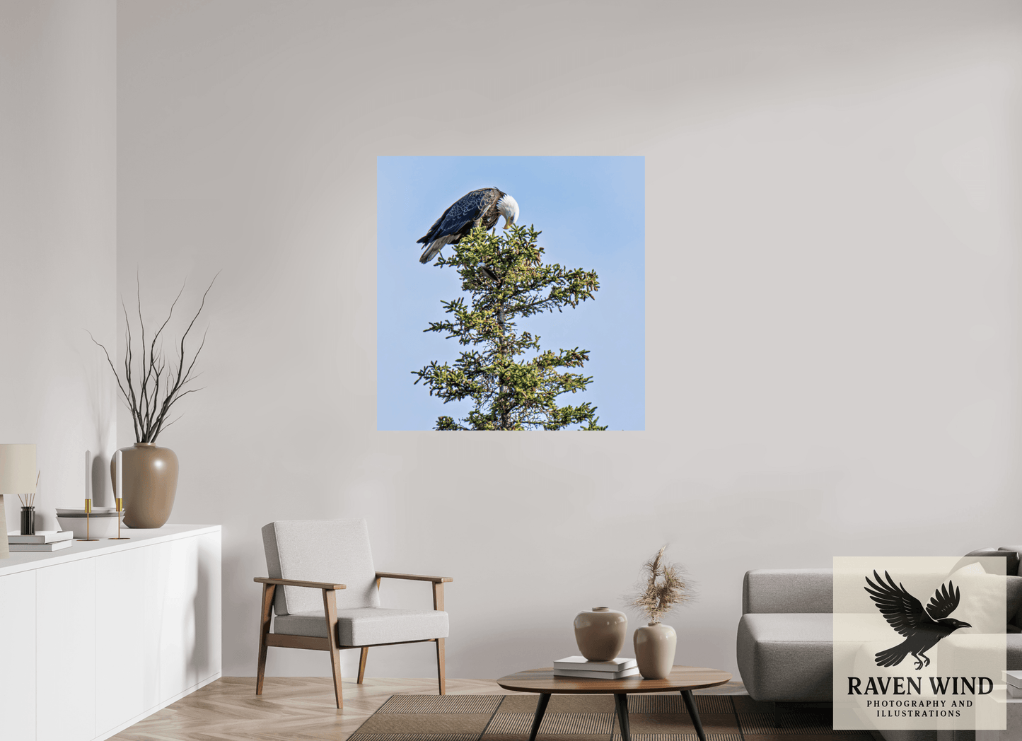 43 x 44.1″, ChromaLuxe HD Metal Print - ready to hang Silent Sentinel - Bald Eagle in Alaska's Pines Nature Photography Print