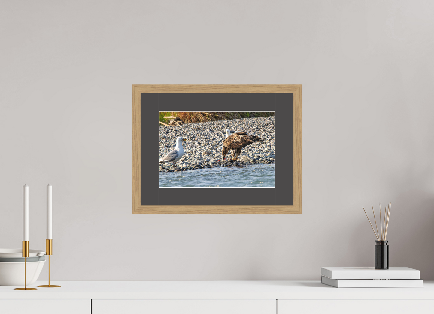 Mine? Mine? – Bald Eagle and Seagull Shoreline Standoff Nature Photography Print