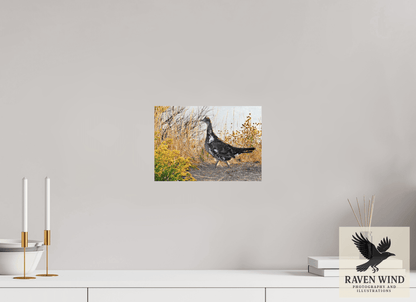 11.4 x 8″, ChromaLuxe HD Metal Print - ready to hang Grounded Grace - a Wild Grouse Nature Photography Print