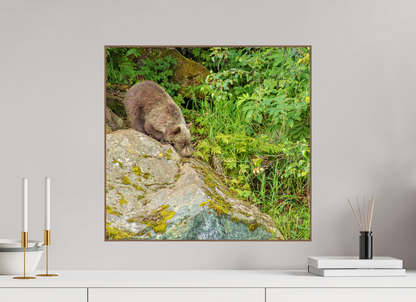 Learning the Ropes Nature Photography Print