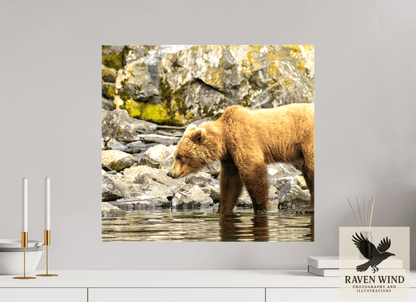21.7 x 20″, Print on Canvas - ready to hang or set on a shelf Looking for Dinner Nature Photography Print