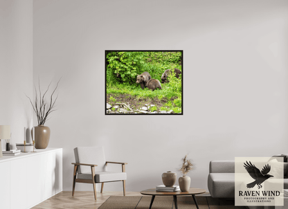 42.5 x 35″, Floater Frame - black oak frame - ready to hang Brown Bear Triplets Nature Photography Print