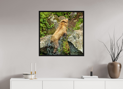 The Shake Nature Photography Print
