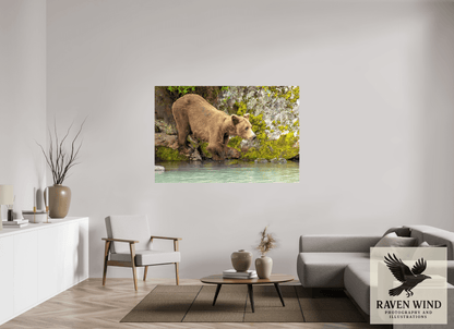 66 x 44″, ChromaLuxe HD Metal Print - ready to hang Testing the Waters Nature Photography Print