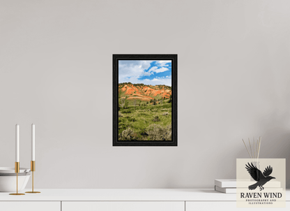 8 x 12″, Floater Frame - black oak frame - ready to hang Salmon Hills Nature Photography Print