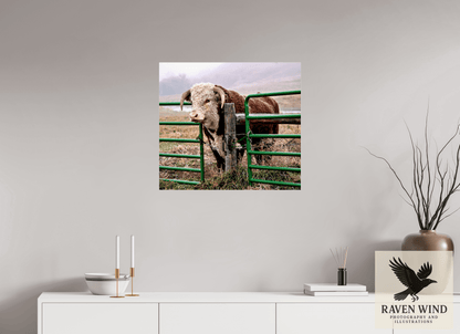 26.7 x 24″, Print Under Acrylic Glass - Ready to hang - not framed The Honor System Nature Photography Print