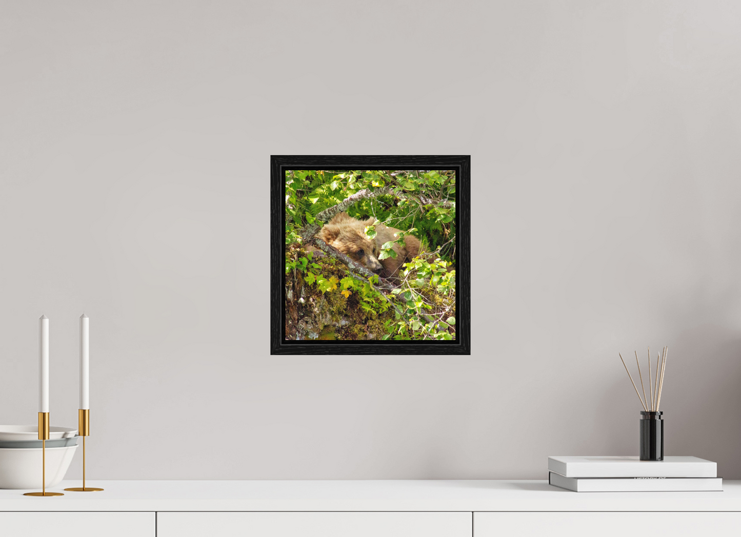 Hide and Peek Nature Photography Print