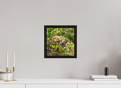 Hide and Peek Nature Photography Print
