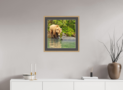 That's a miss! Nature Photography Print