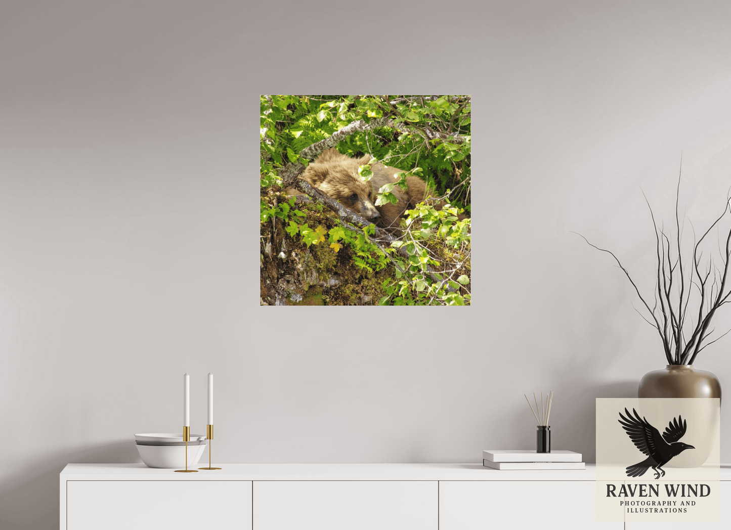 25 x 25″, Photo Print Under Acrylic Glass - ready to hang Hide and Peek Nature Photography Print