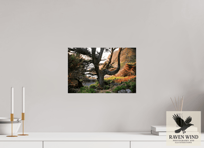 15 x 10″, Photo Print On Fuji Crystal DP II - unframed Sunset Glow Fine Art Nature Photography Print