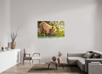 Testing the Waters Nature Photography Print