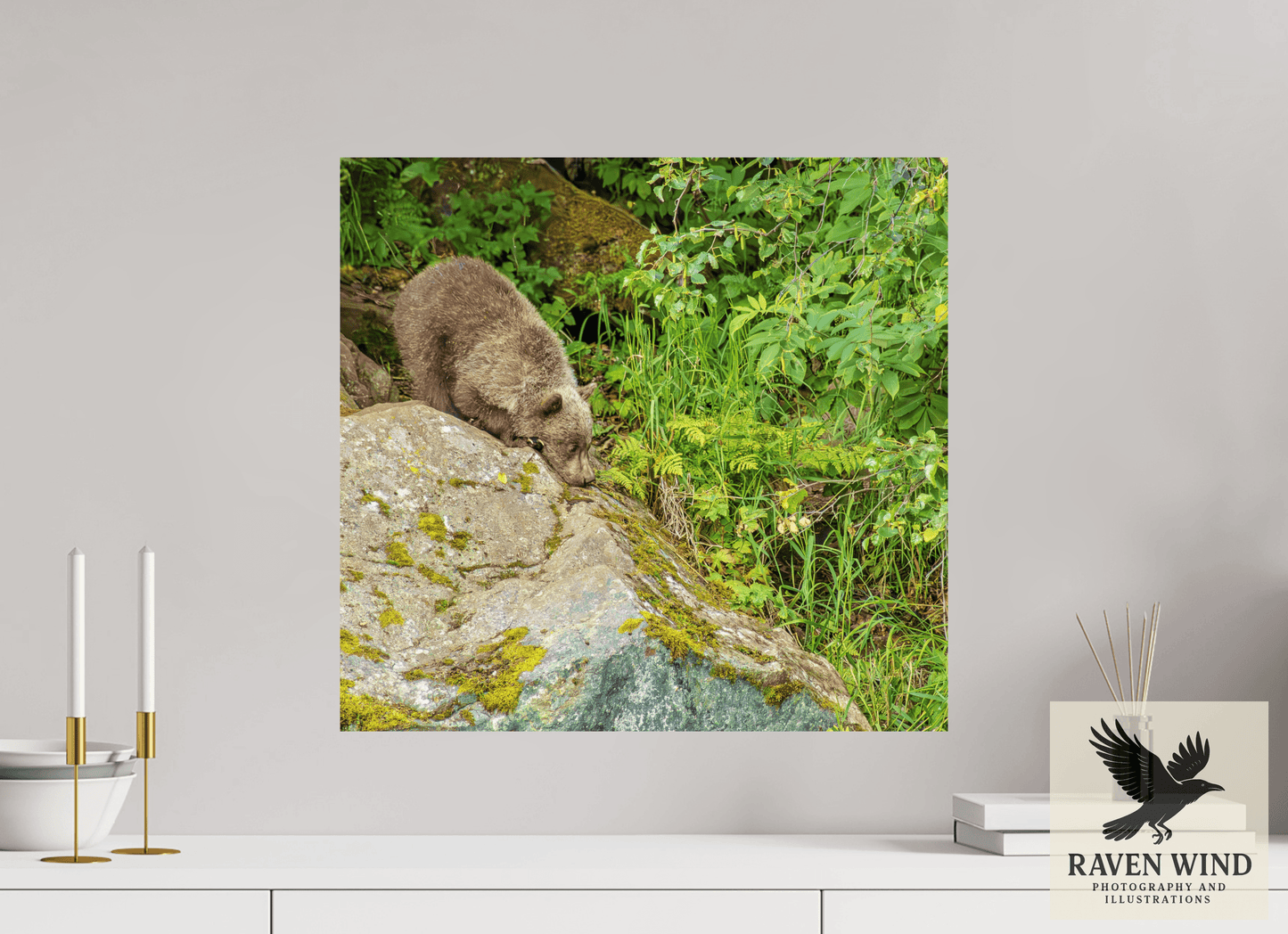 21.2 x 20″, Fine Art Print on Photo Rag Baryta - unframed (email for frame options) Learning the Ropes Nature Photography Print