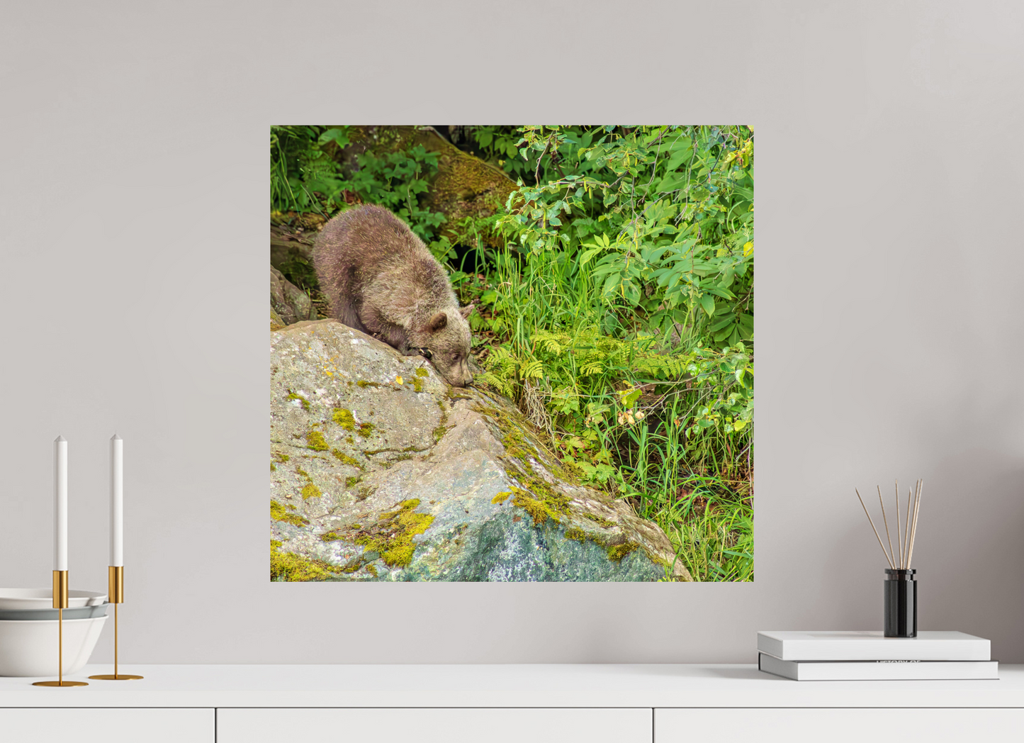 Learning the Ropes Nature Photography Print