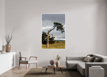 Still Standing - The Cedar That Weathered It All