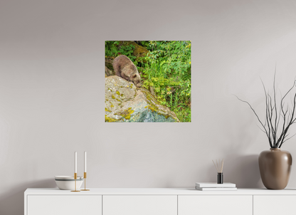 Learning the Ropes Nature Photography Print