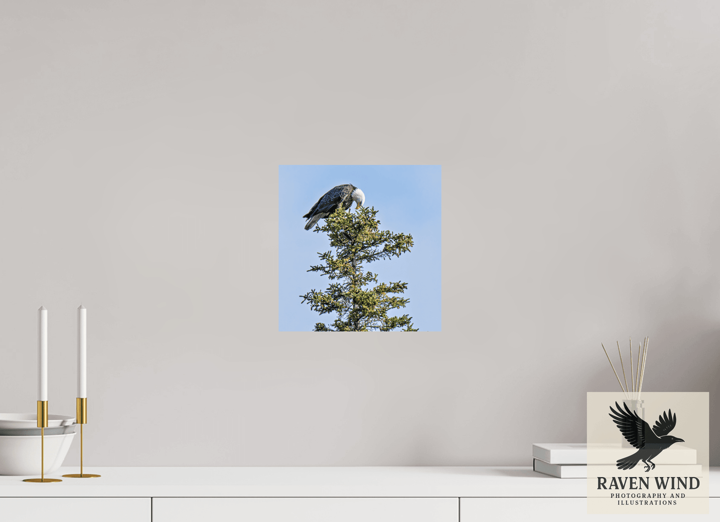 10 x 10.2″, Fine Art Print on Pearl Texture - unframed (email for frame options) Silent Sentinel - Bald Eagle in Alaska's Pines Nature Photography Print