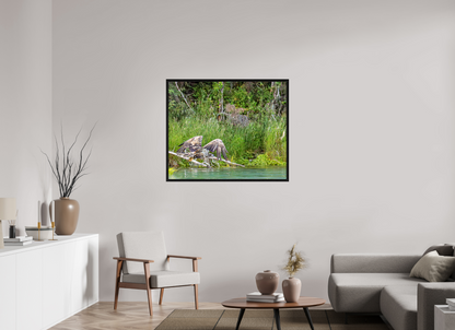 Skimming the Wild – Juvenile Bald Eagle Over the Kasilof River, Nature Photography Print