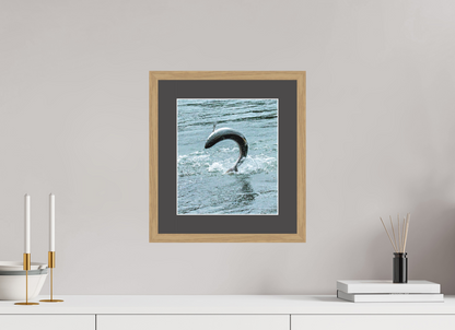 Hooked on the Wild Nature Photography Print
