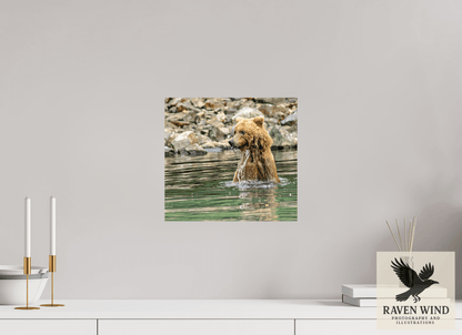 12.9 x 12″, Photo Print On Fuji Crystal DP II - unframed Missed the Catch - but not the moment! Nature Photography Print