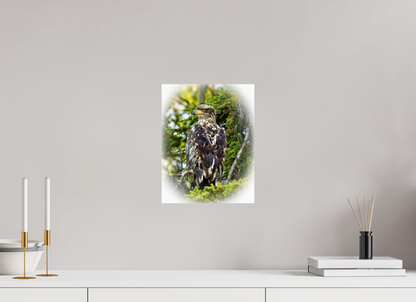 Forest Watch – Young Eagle Among the Pines Nature Photography Print