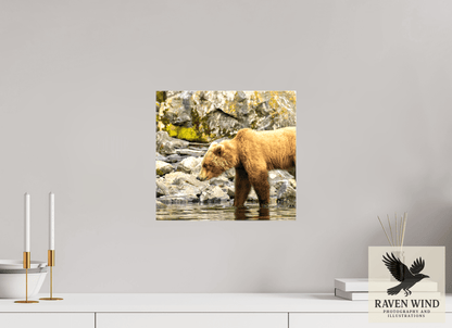 13 x 12″, Print on Canvas - ready to hang or set on a shelf Looking for Dinner Nature Photography Print