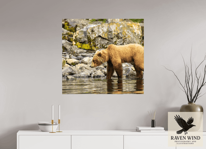 34.6 x 32″, Fine Art Print on Photo Rag Baryta - unframed (email for frame options) Looking for Dinner Nature Photography Print