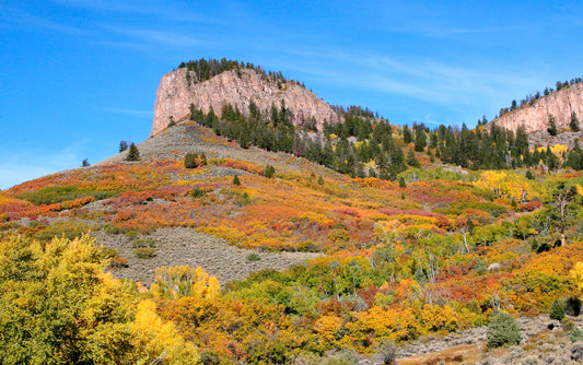 Nature photography print -landscape of Blue Mesa Point Colorado with autumn foliage and clear blue sky