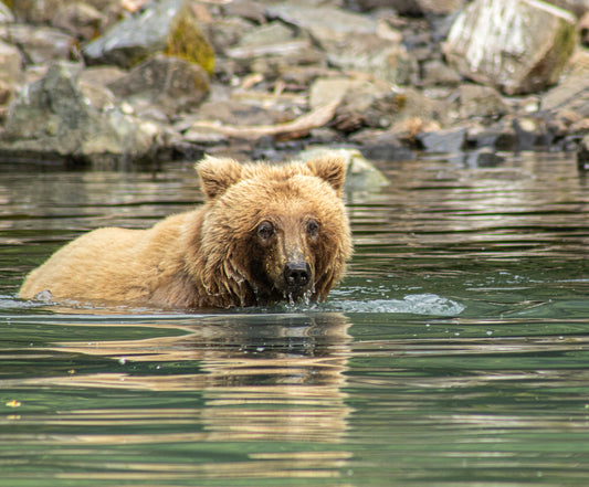 Fishing the Deep End Nature Photography Print