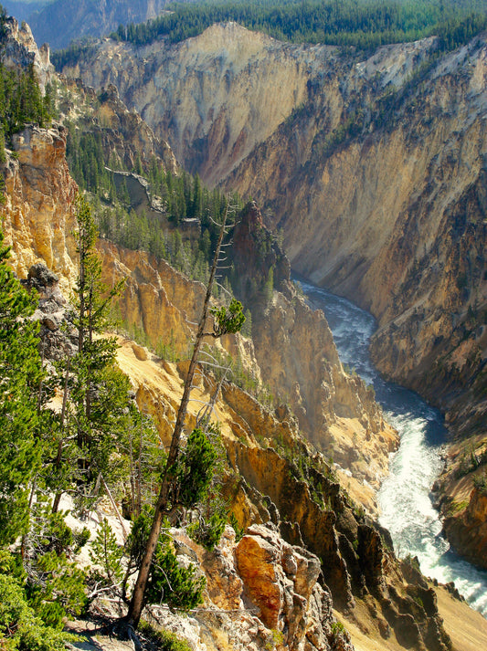 Grand Canyon of Yellowstone