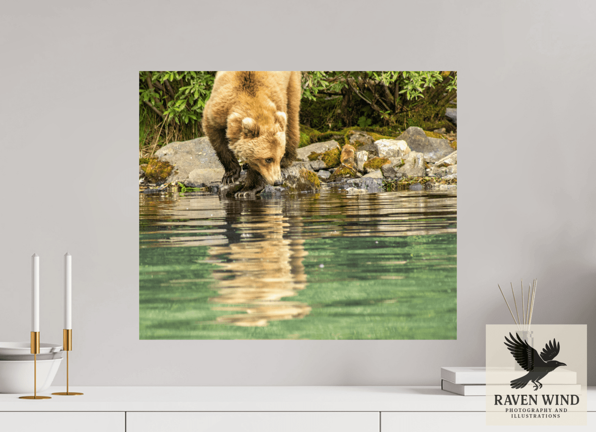 Raven Wind Photography & Illustrations-A Closer Look Fine Art Wildlife Print -