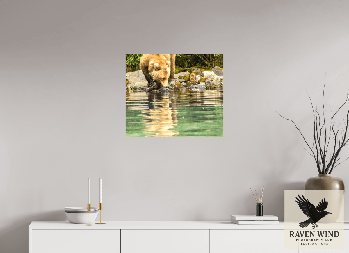 Raven Wind Photography & Illustrations-A Closer Look Fine Art Wildlife Print -